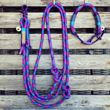 Set aus dreifach verstellbarer Leine und verstellbarem Halsband (doppelt)