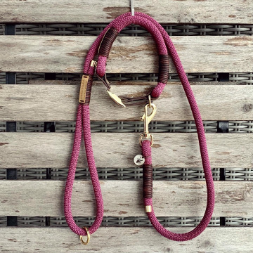 Set verstellbares Halsband und kurze Führleine