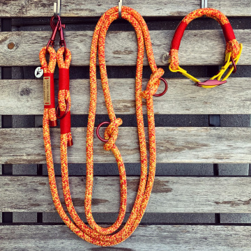 Set aus dreifach verstellbarer Leine und verstellbarem Halsband (doppelt)
