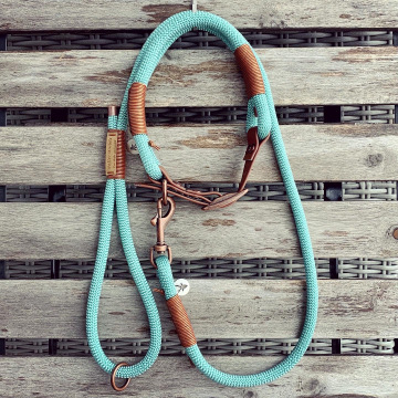 Set verstellbares Halsband und kurze Führleine