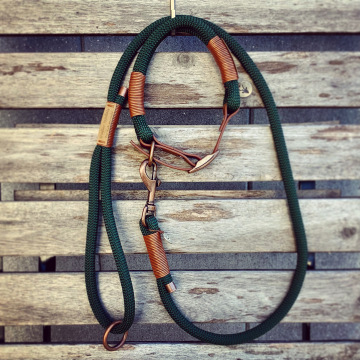 Kurze Führleine mit Halsband